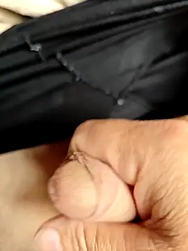 Snapshot of luis8558 chatting on March 2026 04:45:02 PM luis8558 online show from March 2026 04:45:02 PM