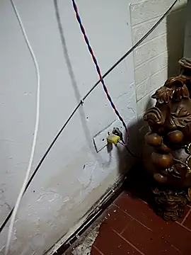 thobaby99 online show from January 2026 07:55:01 AM