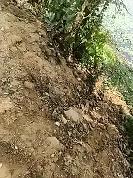 Sheela Sex90 online show from April 2026 05:32:02 AM