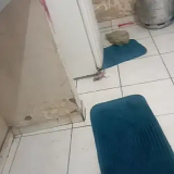 xxbucetudaxxx online show from December 2025 11:17:01 AM