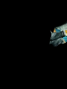 Hot2602 online show from February 2026 07:01:01 PM