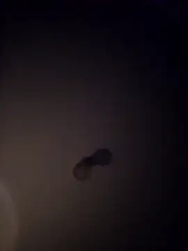 hotasbiguy online show from March 2026 03:38:01 PM