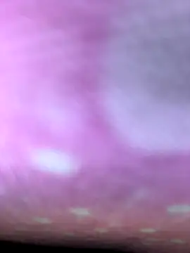 Snapshot of m9awadan chatting on January 2026 09:18:01 PM m9awadan online show from January 2026 09:18:01 PM