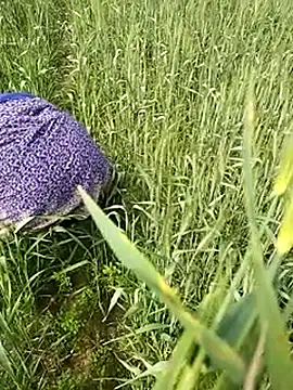 hornycouple20000 online show from February 2026 06:45:02 AM