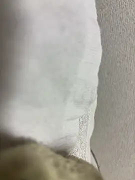 Snapshot of maonyan6 chatting on February 2026 09:27:01 AM maonyan6 online show from February 2026 09:27:01 AM