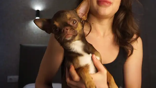 linclars online show from March 2026 01:40:02 PM