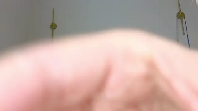 jasmilee online show from March 2026 05:08:02 AM