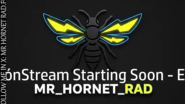 s hornet online show from April 2026 09:38:01 PM