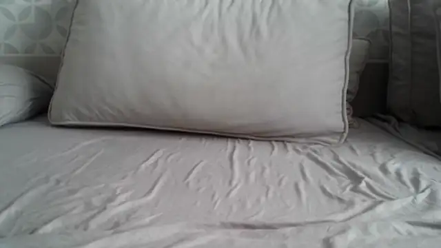 apollo81 online show from February 2026 09:49:01 AM