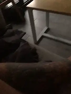 Snapshot of psilocibina22 chatting on February 2026 09:21:02 AM psilocibina22 online show from February 2026 09:21:02 AM