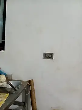xiaogoal online show from June 2026 12:52:01 PM