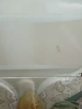 Snapshot of Pagelboy_089 chatting on March 2026 03:05:04 PM Pagelboy 089 online show from March 2026 03:05:04 PM