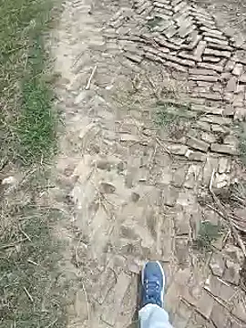 Snapshot of Pagelboy_089 chatting on March 2026 08:20:01 AM Pagelboy 089 online show from March 2026 08:20:01 AM