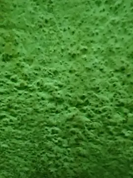 Snapshot of Pagelboy_089 chatting on April 2026 11:59:02 PM Pagelboy 089 online show from April 2026 11:59:02 PM