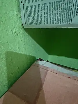 Snapshot of Pagelboy_089 chatting on April 2026 11:04:02 AM Pagelboy 089 online show from April 2026 11:04:02 AM