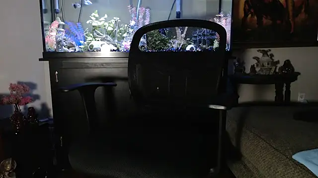 EspanolVato online show from January 2026 12:05:01 AM