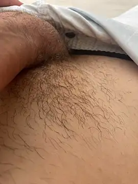 Snapshot of novinhode19yy chatting on February 2026 01:31:02 PM novinhode19yy online show from February 2026 01:31:02 PM