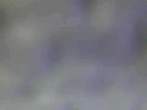 Snapshot of Minico25 chatting on March 2026 02:44:02 AM Minico25 online show from March 2026 02:44:02 AM