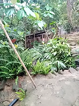 him220 online show from May 2026 10:50:01 PM