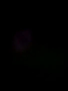 him220 online show from May 2026 10:06:01 PM
