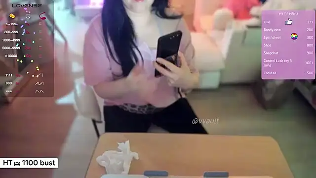Snapshot of Vesagal chatting on May 2026 04:41:01 AM Vesagal online show from May 2026 04:41:01 AM