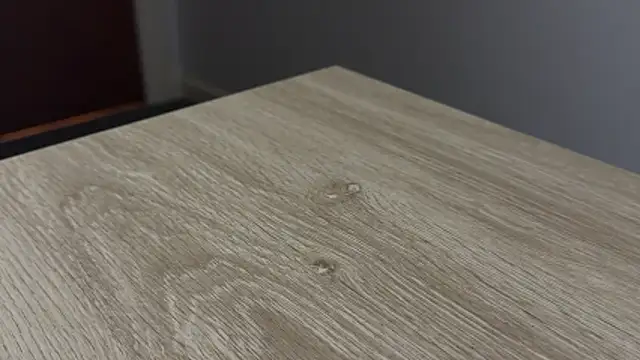 Snapshot of adelaide2026 chatting on March 2026 08:31:01 AM adelaide2026 online show from March 2026 08:31:01 AM