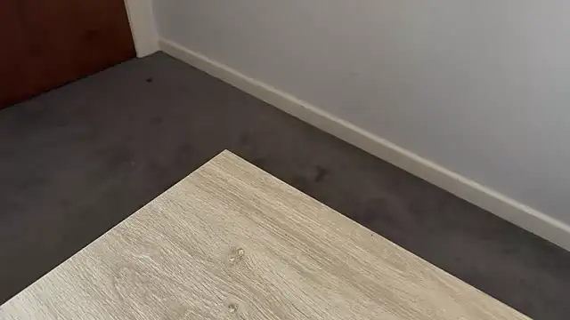 Snapshot of adelaide2026 chatting on April 2026 03:37:02 AM adelaide2026 online show from April 2026 03:37:02 AM