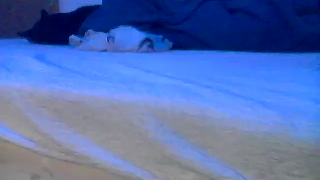 Snapshot of Silencio26 chatting on April 2026 08:02:02 AM Silencio26 online show from April 2026 08:02:02 AM