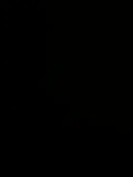 PlugJp online show from August 2026 05:55:01 AM