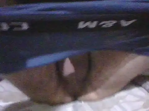 Snapshot of kemo2087 chatting on April 2026 10:18:01 PM kemo2087 online show from April 2026 10:18:01 PM