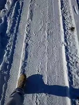 Snapshot of Erz84 chatting on February 2025 12:25:01 AM Erz84 online show from February 2025 12:25:01 AM