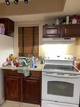 Snapshot of gemfairy chatting on April 2026 02:12:02 AM gemfairy online show from April 2026 02:12:02 AM