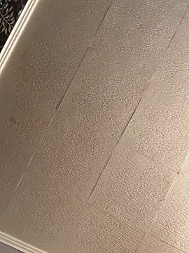 Snapshot of Evelin199 chatting on March 2026 08:01:01 PM Evelin199 online show from March 2026 08:01:01 PM