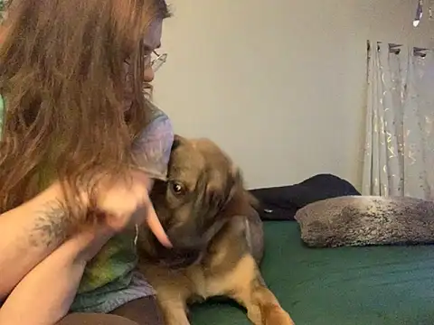 Intothewoodswego online show from February 2026 01:29:02 AM