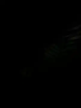 GraszkIgraszka69 online show from January 2026 04:00:02 PM