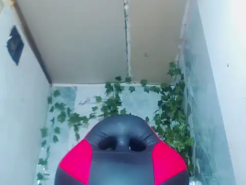 Snapshot of Negri_hot_crazy chatting on February 2026 01:02:02 AM Negri hot crazy online show from February 2026 01:02:02 AM