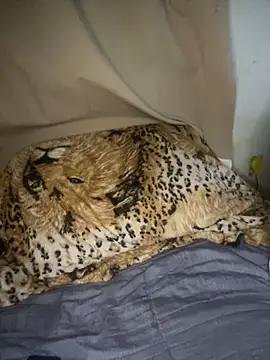 magneto01 online show from April 2026 02:09:02 AM