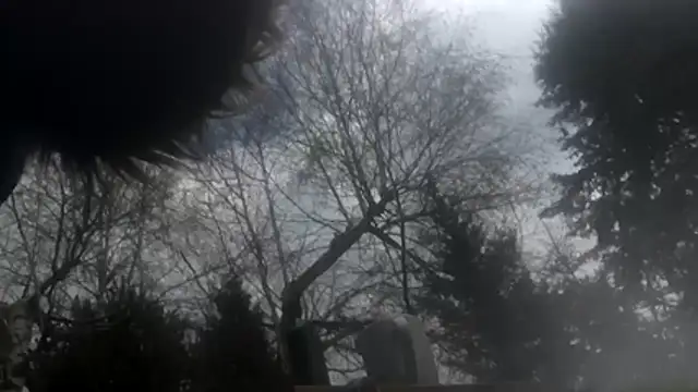 Snapshot of dongoralesko77 chatting on April 2026 10:19:02 AM dongoralesko77 online show from April 2026 10:19:02 AM