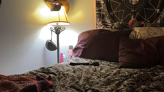 Snapshot of mysunidreamss chatting on April 2026 02:45:02 AM mysunidreamss online show from April 2026 02:45:02 AM