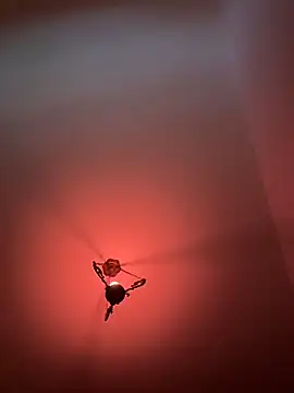 witchdub online show from February 2026 04:47:02 PM