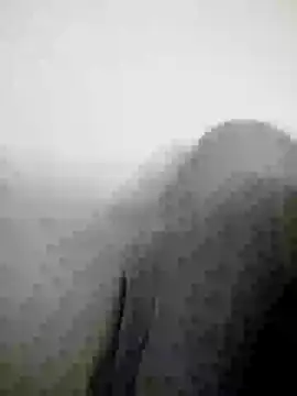 Snapshot of Scook_Gray_ chatting on April 2026 06:08:02 PM Scook Gray online show from April 2026 06:08:02 PM