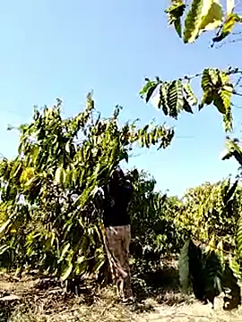 Ginny 2x online show from March 2026 07:34:02 AM