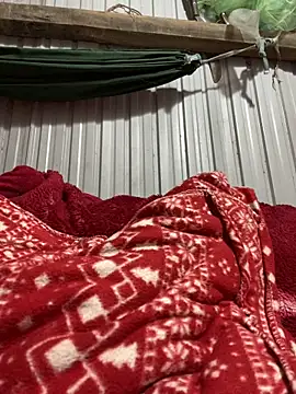 Xo xo237 online show from March 2026 03:56:01 AM