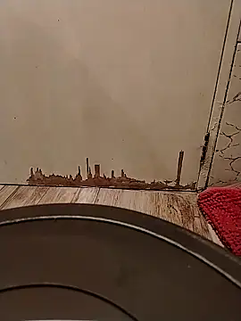 Gorditacarlota online show from February 2026 05:00:02 PM