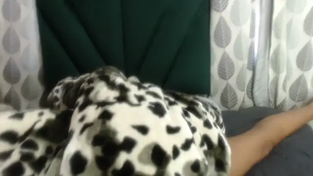 Nellybba online show from March 2026 05:46:02 AM