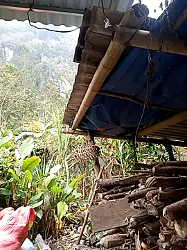 ERA 669 online show from January 2026 02:15:01 AM