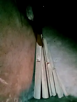 Diana-02 online show from March 2026 11:15:01 AM