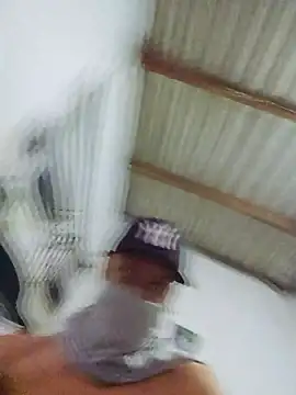 novinho br29 online show from February 2026 08:04:02 PM