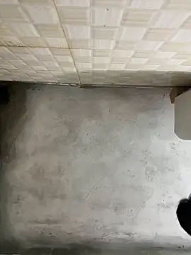 nmducnb online show from April 2026 08:13:01 AM