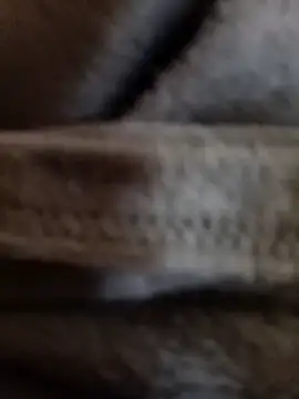 Snapshot of Daisy91 chatting on January 2026 03:06:01 PM Daisy91 online show from January 2026 03:06:01 PM